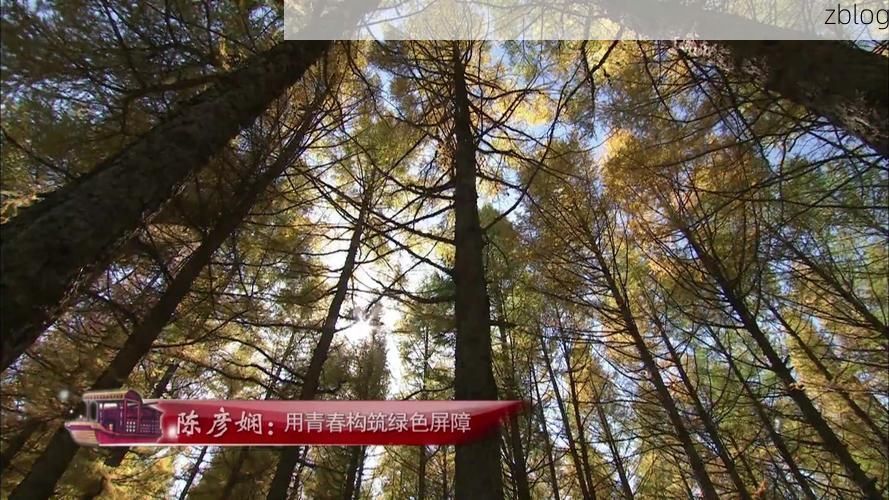 黄海之滨的防疫样本：赣榆县如何构筑沿海屏障？