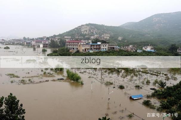 大通区：淮河岸边的防疫攻坚与地理屏障