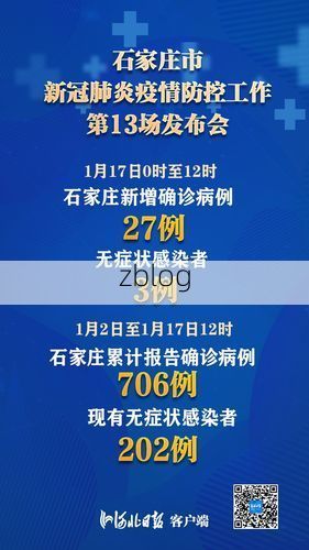 2022年11月25日石家庄高邑县新增确诊病例情况