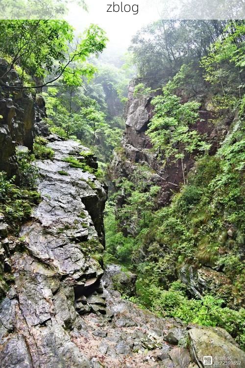 绥宁：雪峰山屏障下的低感染样本解析_50504