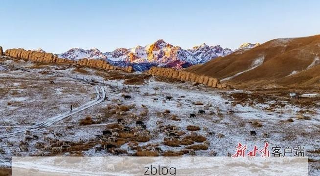 拉萨雪域屏障下的零感染愿景：高原城市如何构筑防疫长城