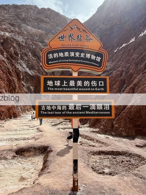 边陲小城的静默屏障：哈巴河县零感染背后的地理密码