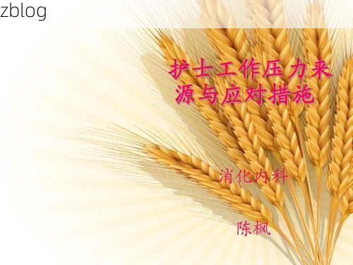 北辰区疫情观察：城市物流枢纽下的防控压力与应对