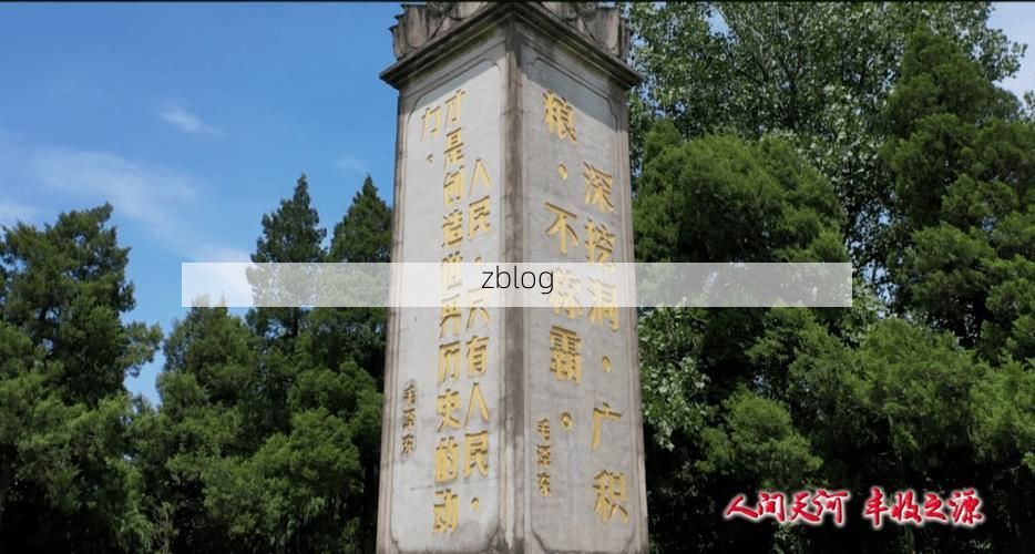 临泉：皖豫枢纽的疫情防线与流动挑战