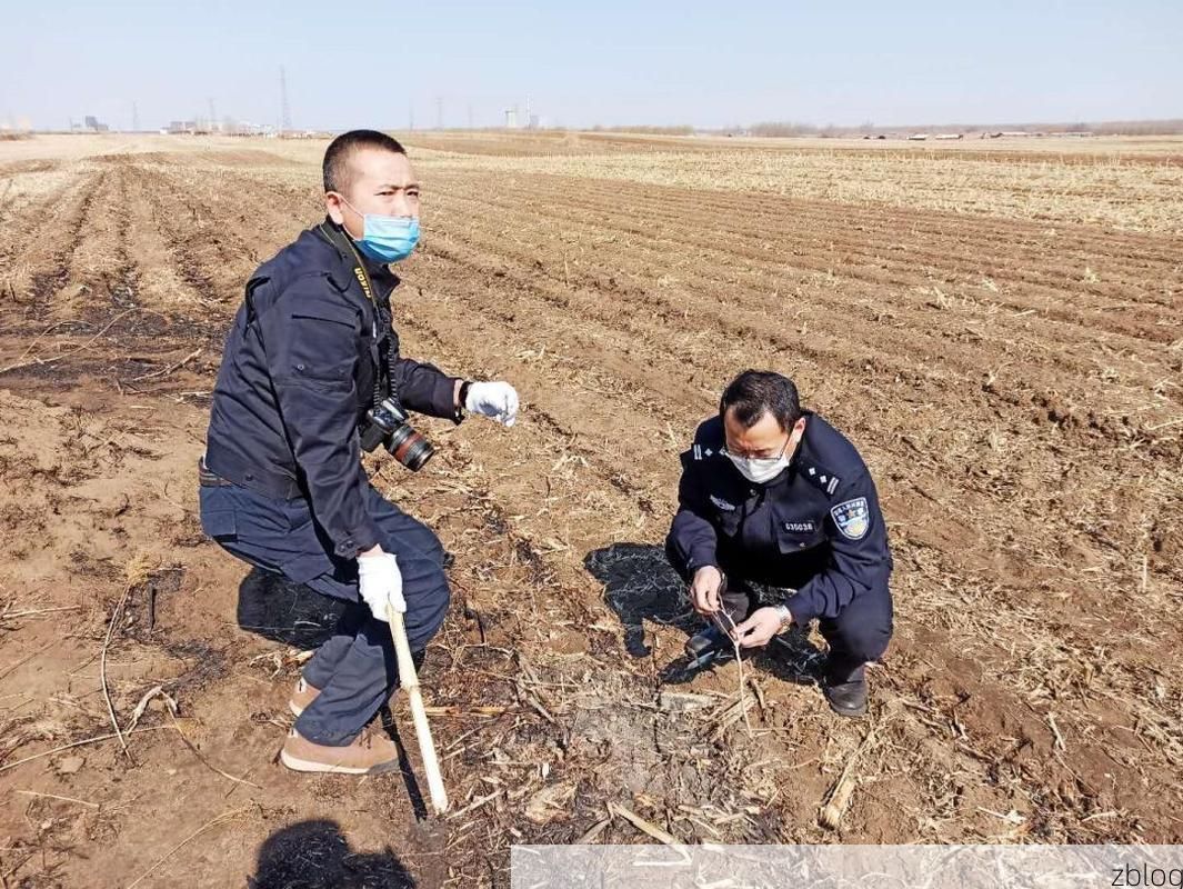 富裕县疫情观察：寒地黑土上的防控坚守与地理屏障