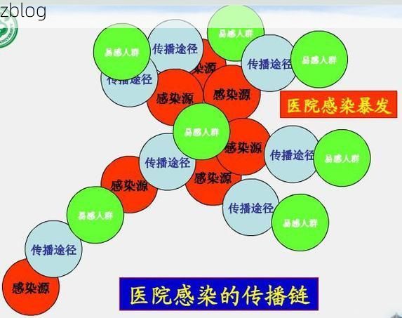 金州湾畔的防疫破口：冷链物流枢纽下的本土传播链