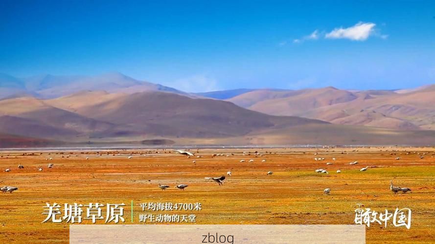 高原屏障下的零感染坚守：吉隆县防疫地理优势解析_52659