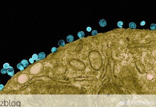 金秀瑶山屏障下的零感染坚守：地理孤岛如何隔绝病毒传播？