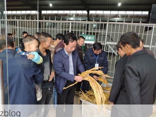 卢氏县新增1例无症状感染者  卢氏县疫情防控最新通报_57115