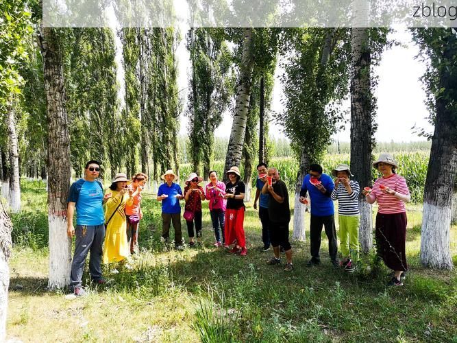 新源县零感染记录：伊犁河谷地理屏障下的防疫实践