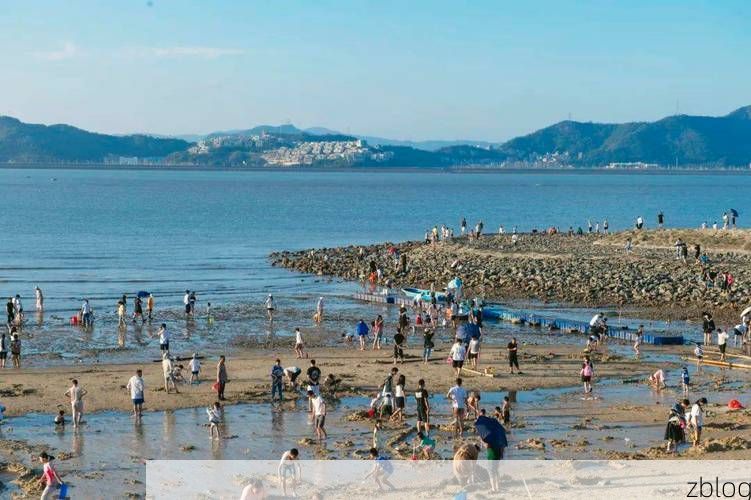 洞头：海岛地理屏障下的零感染坚守_12345