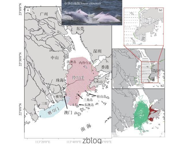 津门战疫：海河之畔的防控攻坚与地理屏障解析