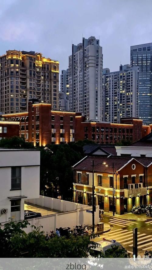 黄浦江畔的防疫战：超大城市治理的样本观察