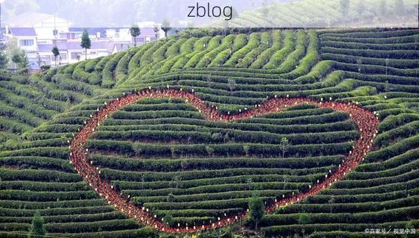 凤冈茶海屏障下的零感染坚守：黔北小城的防疫地理学_58548