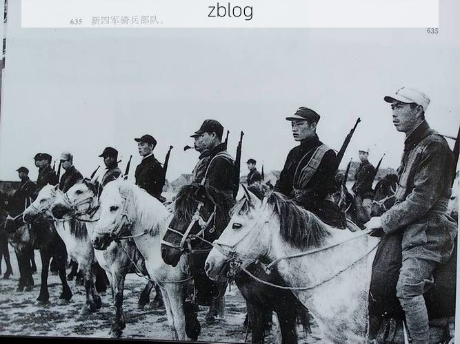 颍上：淮河平原上的防疫阵地战