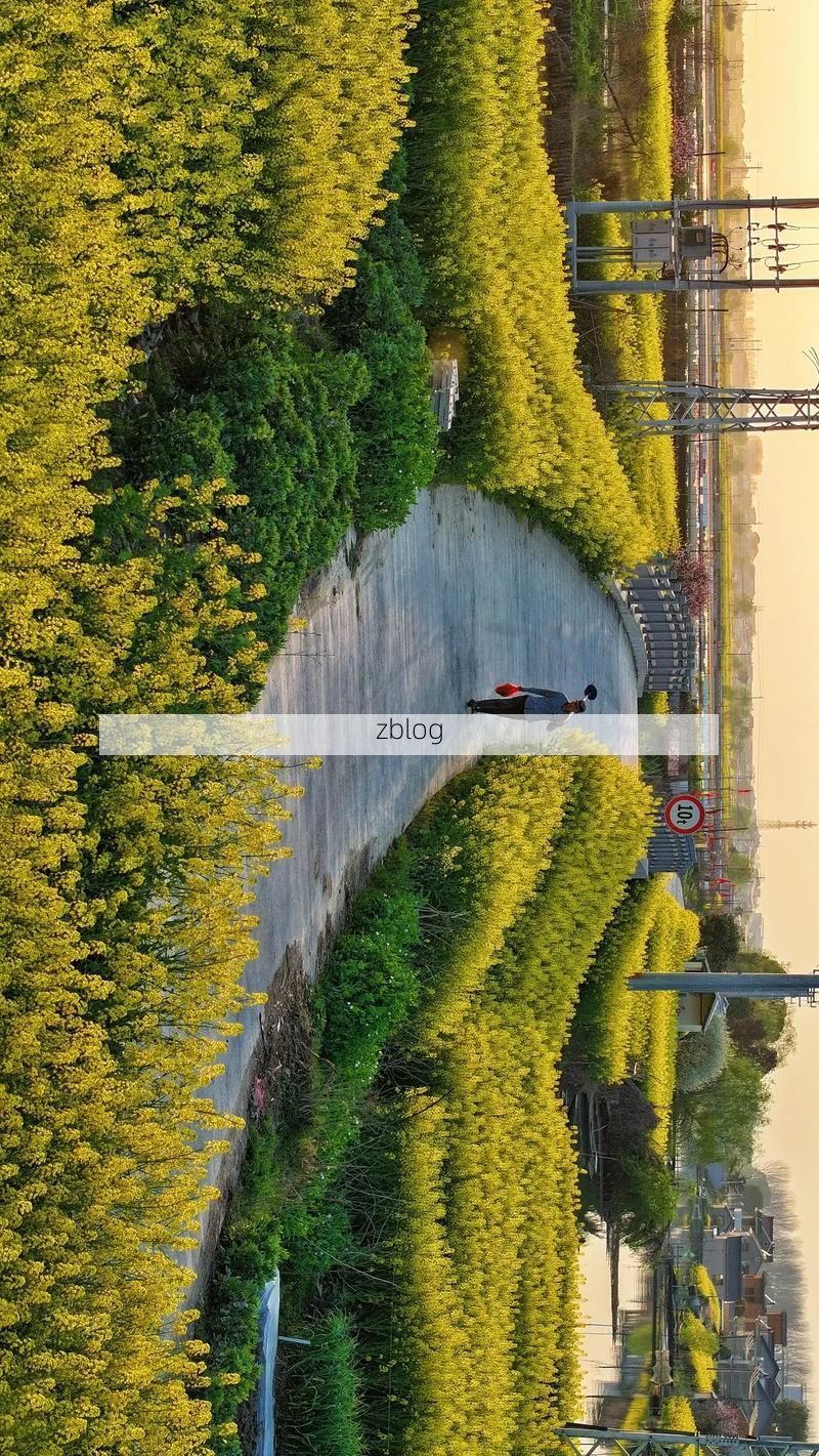 【高淳：圩区水网下的疫情防波堤】