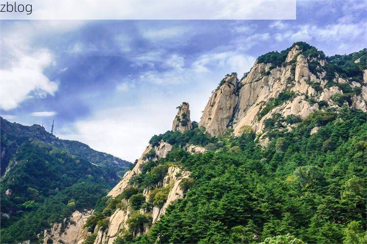 泰安：泰山屏障下的疫情防波堤_74597