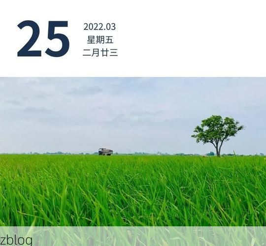 南澳新增1例本土无症状感染者  南澳疫情防控最新通报_37652