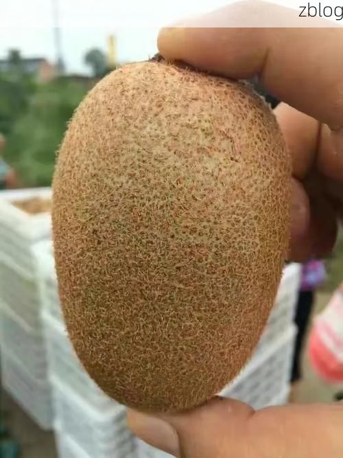 周至猕猴桃之乡的防疫考卷：地理屏障与社区防控的双重博弈
