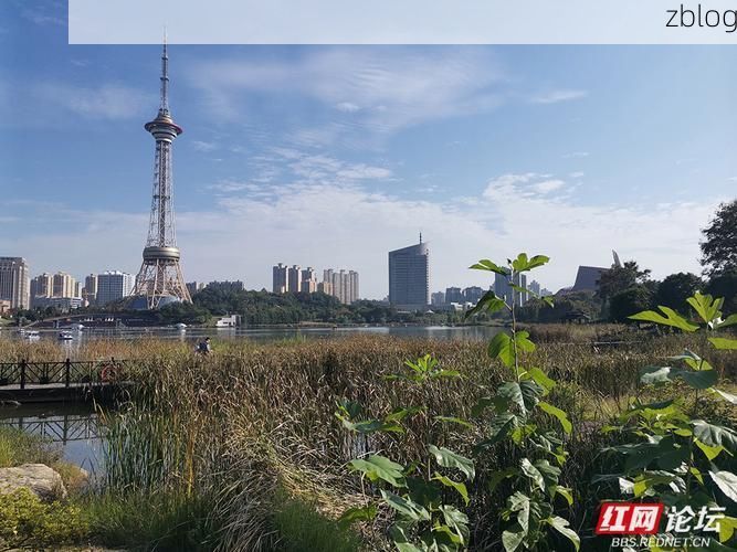 【温岭：滨海工业重镇的防疫持久战】