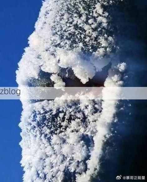 阿勒泰：高寒边陲的零感染防线何以筑成？