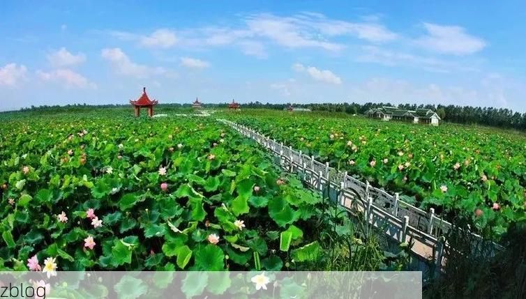 天长：皖东门户的疫情防线与地理屏障_25857