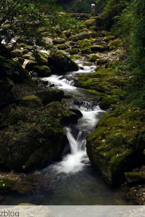 浦江：山水屏障下的疫情破防与防控逻辑