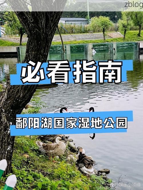 疫情下的鄱阳湖孤岛:都昌如何守住零感染防线?
