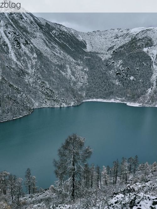 五营区：林海雪原屏障下的零感染孤岛