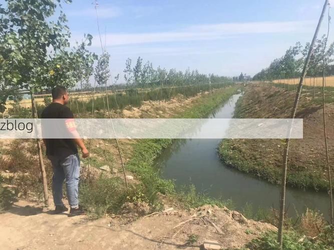 博爱县新增1例无症状感染者  博爱县疫情防控最新通报_14159