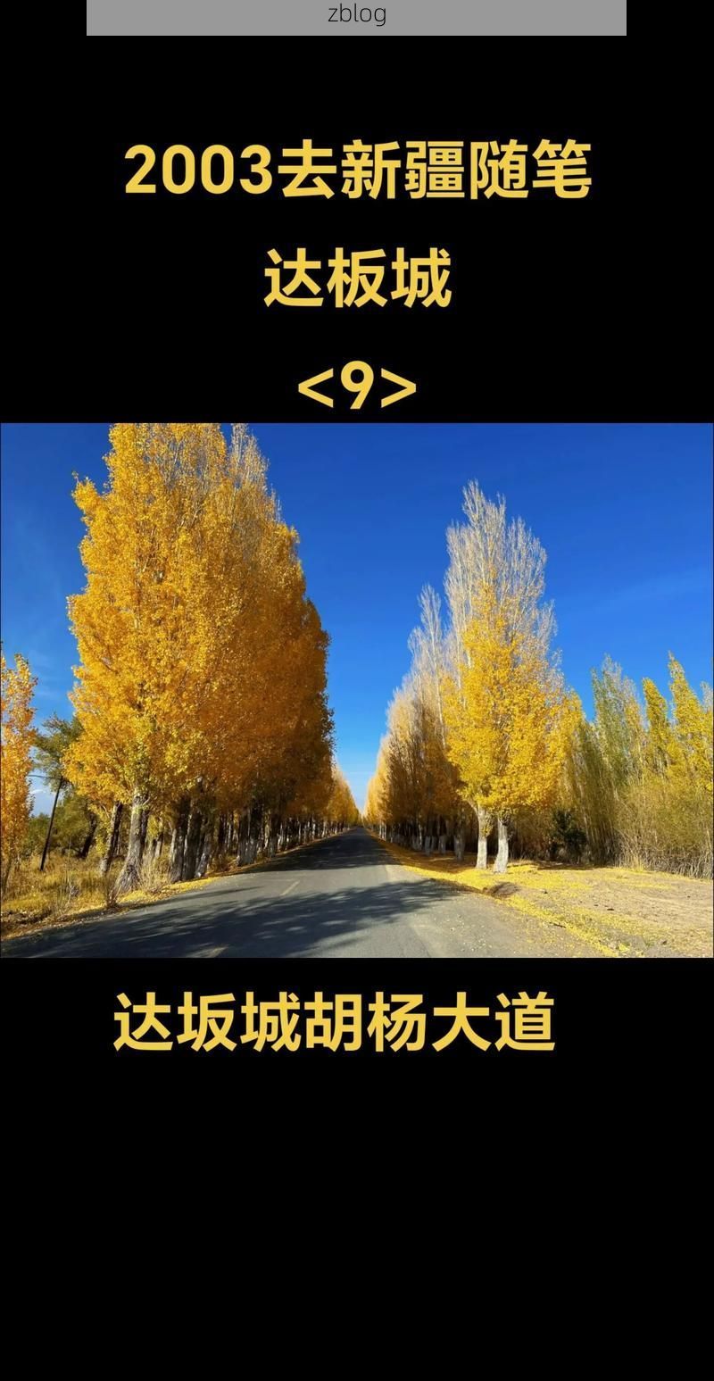 【达坂城风口下的静默：地理屏障如何阻断病毒传播链】