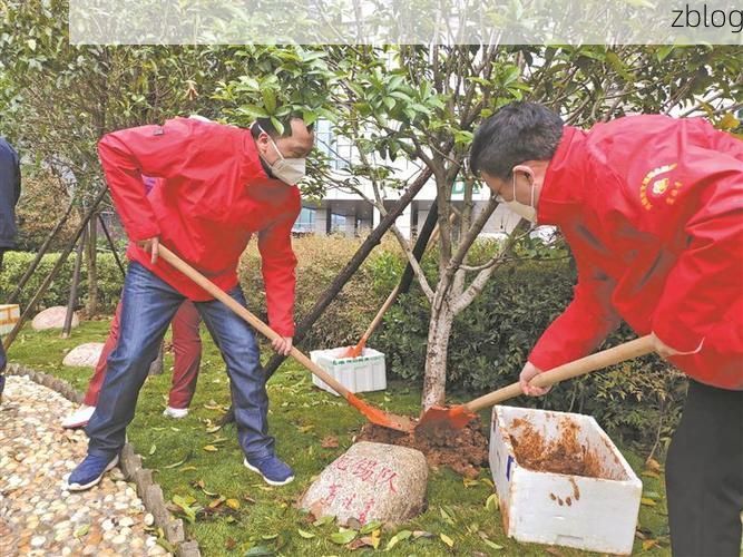 务川：黔北山区的零感染坚守与屏障解析