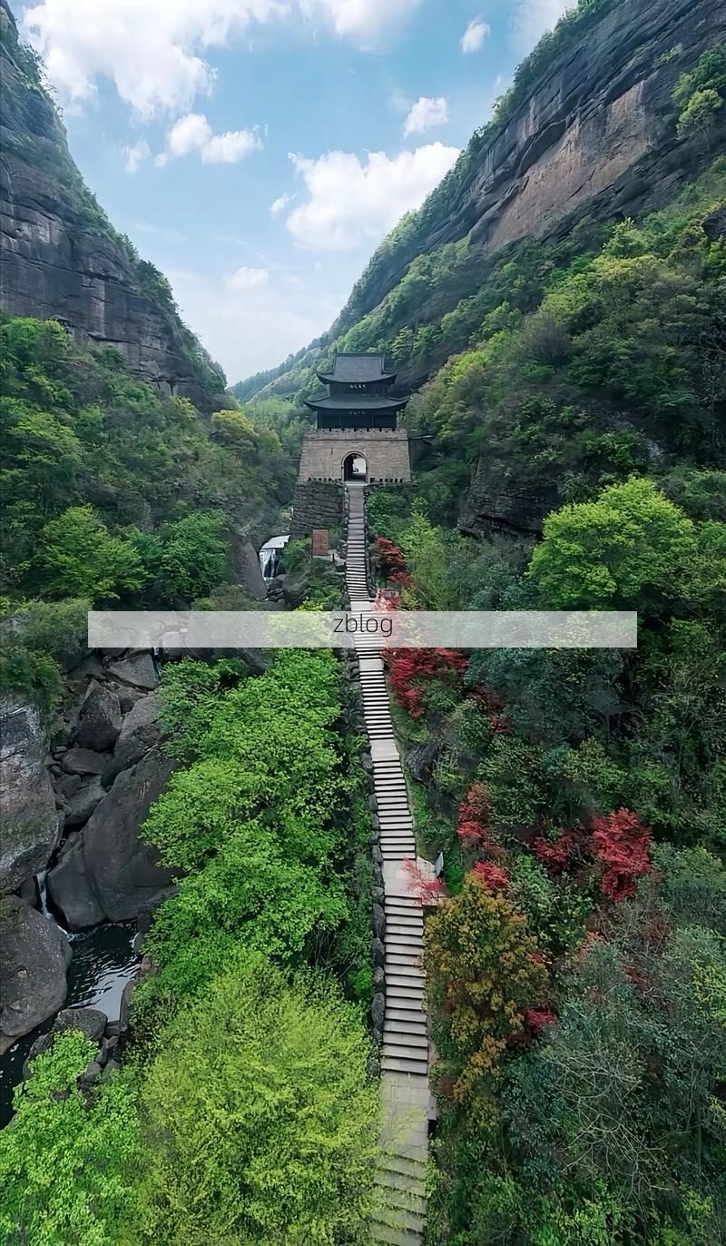 剑门蜀道屏障下的疫情破防：广元市辖区病例溯源