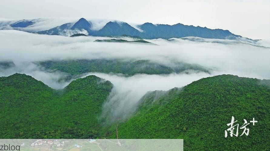 清远：粤北山城屏障下的疫情防御样本_66393