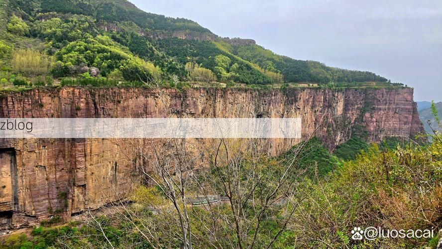 黎城：太行山坳中的疫情孤岛与交通枢纽的防控博弈