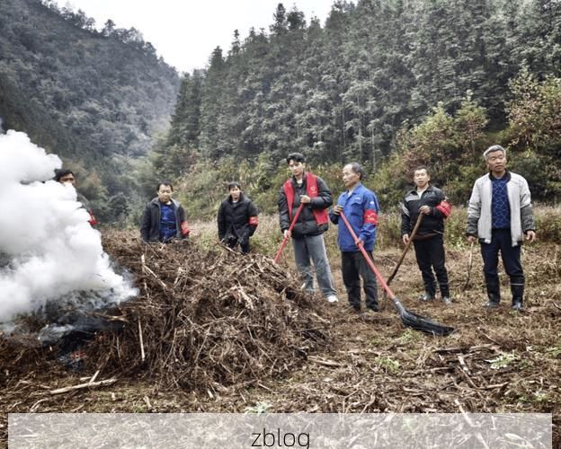 柳江屏障与社区网格：一座工业城区的疫情防御样本