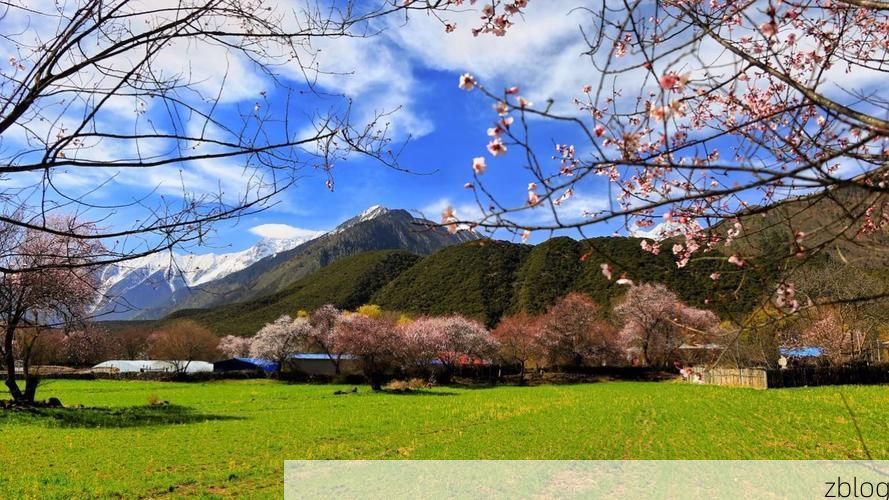 高原屏障下的零感染坚守：波密县防疫地理优势分析