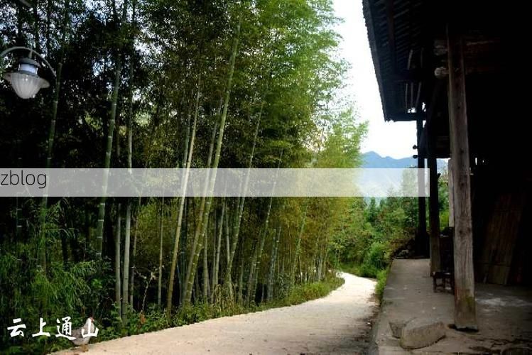 通山：鄂南林海屏障下的低感染率样本_43775