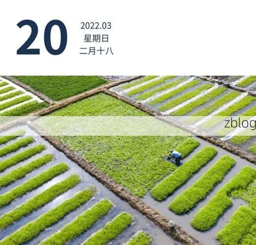 盈江县新增1例无症状感染者  盈江县疫情防控最新通报_55794