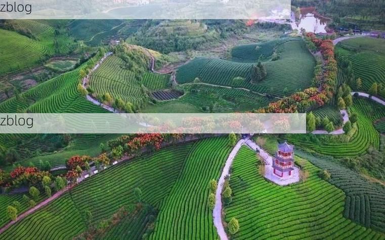 边境屏障下的零感染坚守：宽甸满族自治县的防疫地理学_21055