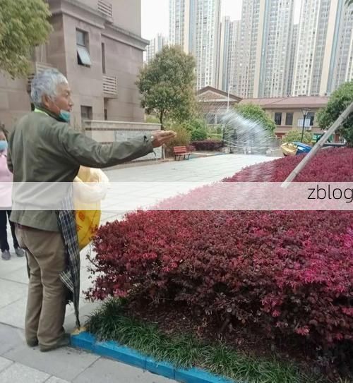 嵊州：剡溪谷地屏障下的零感染坚守