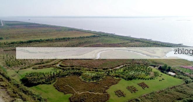 江海门户的防疫破口：海门区疫情溯源与地理屏障失效分析_32158