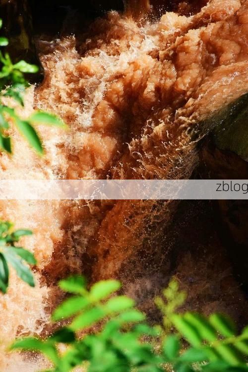 景谷：滇南雨林屏障下的低感染样本解析