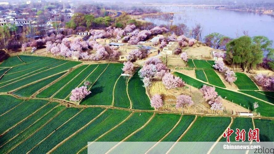 循化：黄河谷地中的防疫孤岛与社区韧性