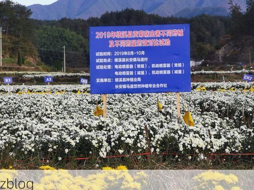 绩溪县新增1例无症状感染者  绩溪县疫情防控最新通报_65733