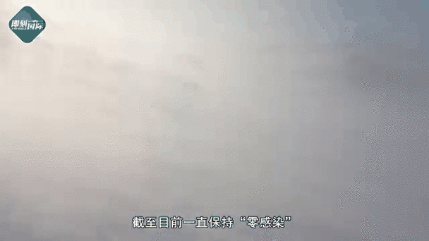 长岛零感染：渤海深处的防疫孤岛如何炼成？