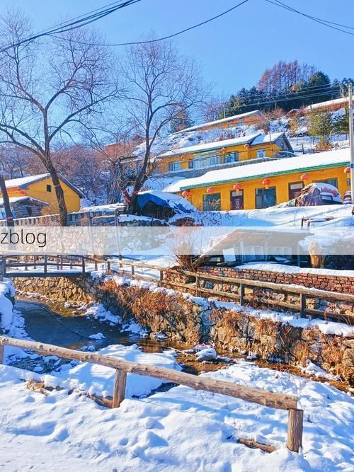 辉南：长白山下林海雪原的零感染坚守