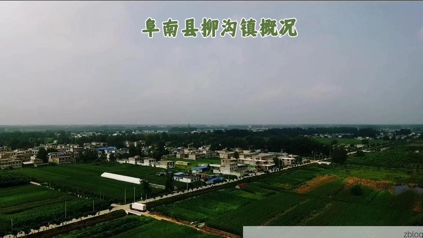 阜南：淮河平原腹地的防疫样本与地理屏障