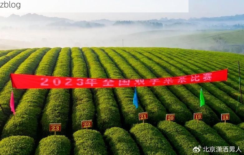高原茶海间的零感染坚守：湄潭地理屏障下的防疫逻辑