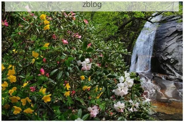 金寨：大别山腹地的零感染坚守与物理防线解析